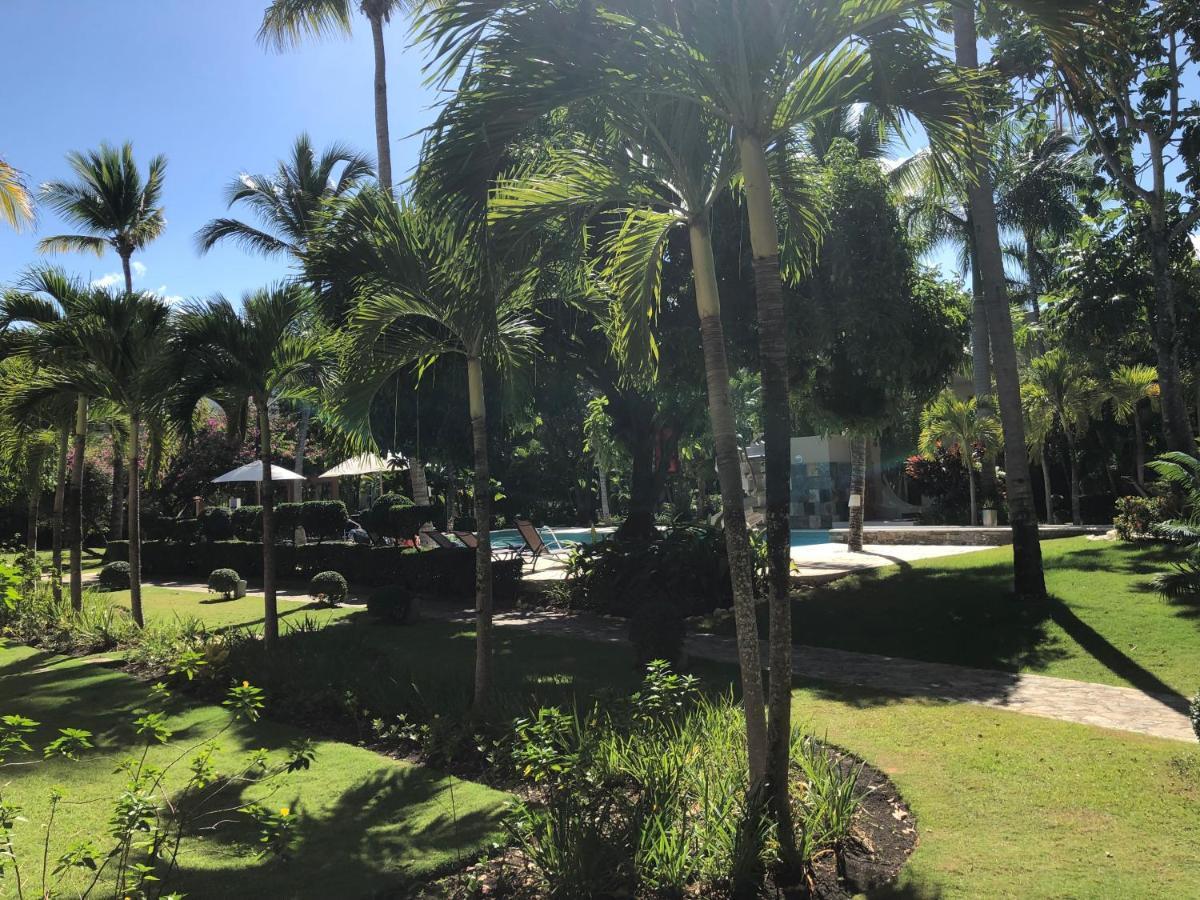 Comfortable Apartment In Caribbean Paradise Sosúa Kültér fotó